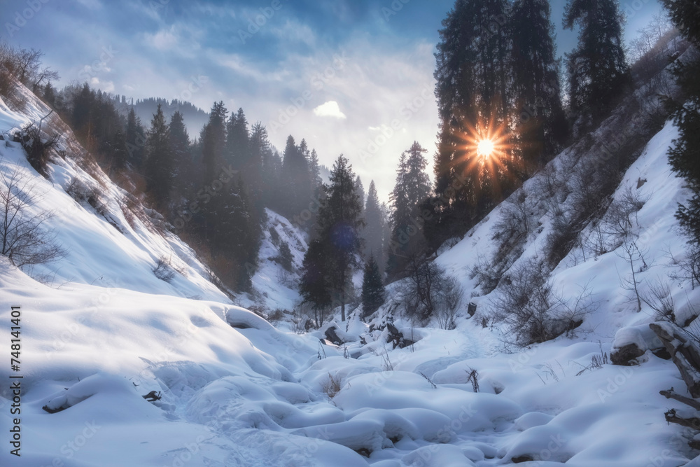 Beautiful winter mountain landscape with sun rays through a spruce forest and deep white snow in the gorge