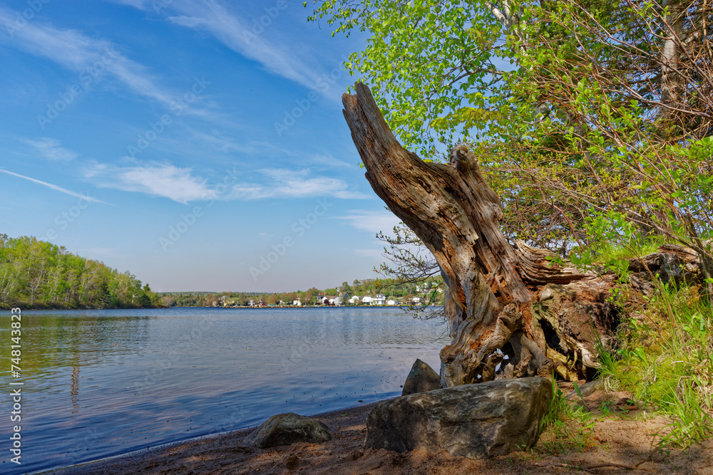 Lake Charles , Halifax