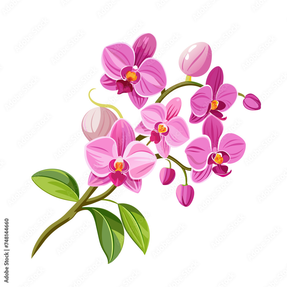 Naklejka premium flower exotic pink orchid branch