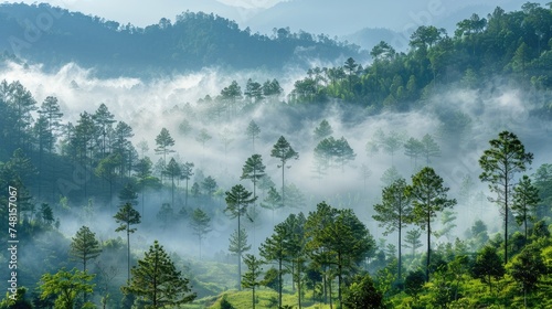 fog in the mountains © AgungRikhi