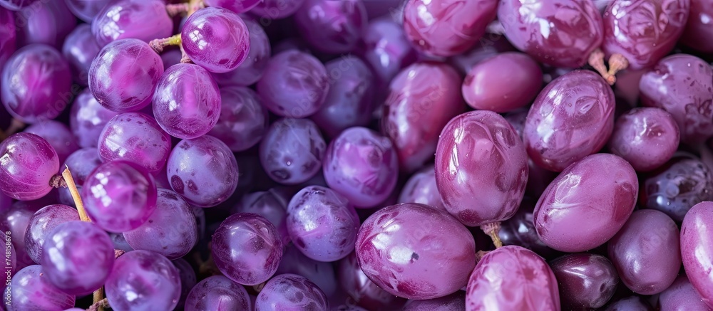 A detailed view of a cluster of ripe purple grapes, showcasing their plump rounded shapes and glossy skin. The grapes are densely packed together, creating a vibrant and appetizing display. - obrazy, fototapety, plakaty 