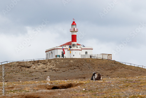 Faro Isla Magdalena, Maritime Signalling Lighthouse at Famous Penguin Reserve National Monument on Magdalena Island in Strait of Magellan off Punta Arenas Patagonia Coast