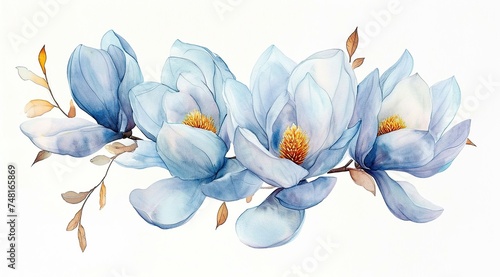 Watercolor blue magnolia branch isolated on white background photo