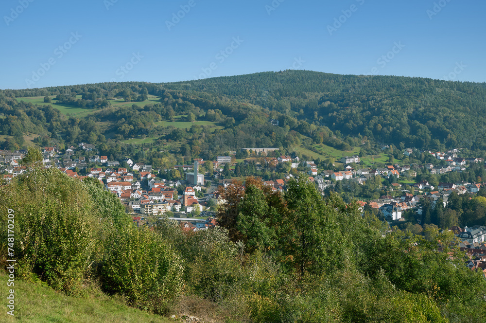 Obraz premium Health Resort of Bad Orb,Spessart Nature Park,Hesse,Germany