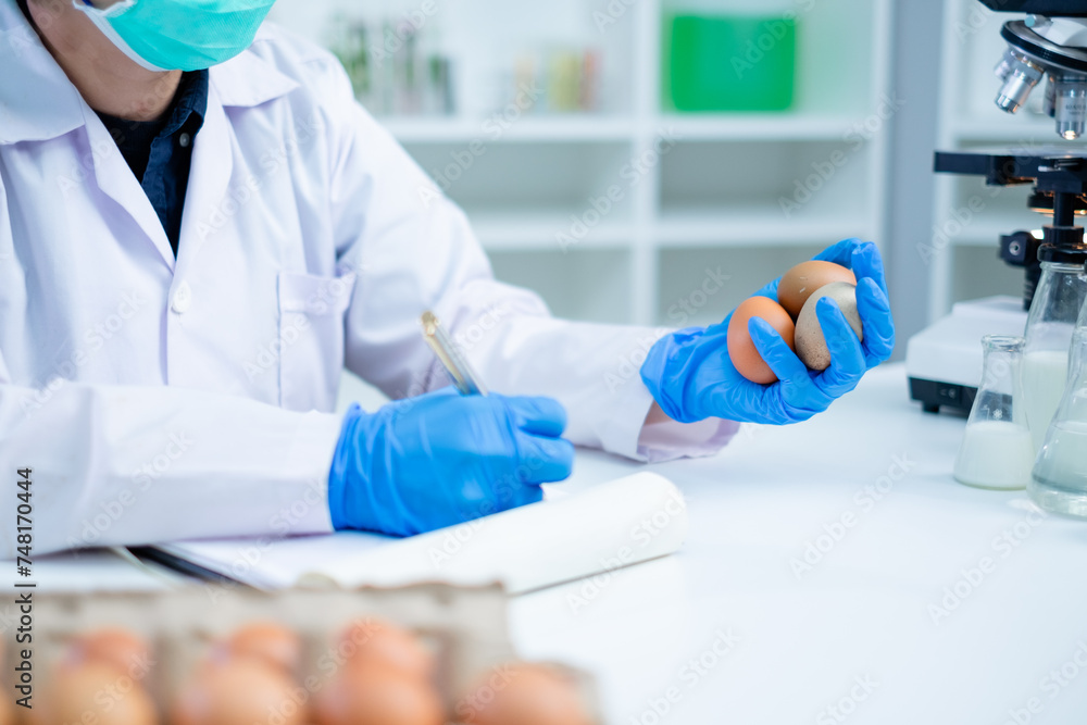 Scientist or nutritionist is holding eggs in her hand to test and check the quality of shell, concept of protein and nutrition research, livestock and farmhouse examining, biotechnology analyzing. Scientist or nutritionist is holding eggs in her hand to test and check the quality of shell, concept of protein and nutrition research, livestock and farmhouse examining, biotechnology analyzing.