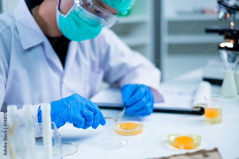 Professional Scientist or nutritionist do an experiment or research with egg yolk in laboratory, concept of microbiology, biochemistry, biotechnology, livestock factory or farm quality control protein Professional Scientist or nutritionist do an experiment or research with egg yolk in laboratory, concept of microbiology, biochemistry, biotechnology, livestock factory or farm quality control protein