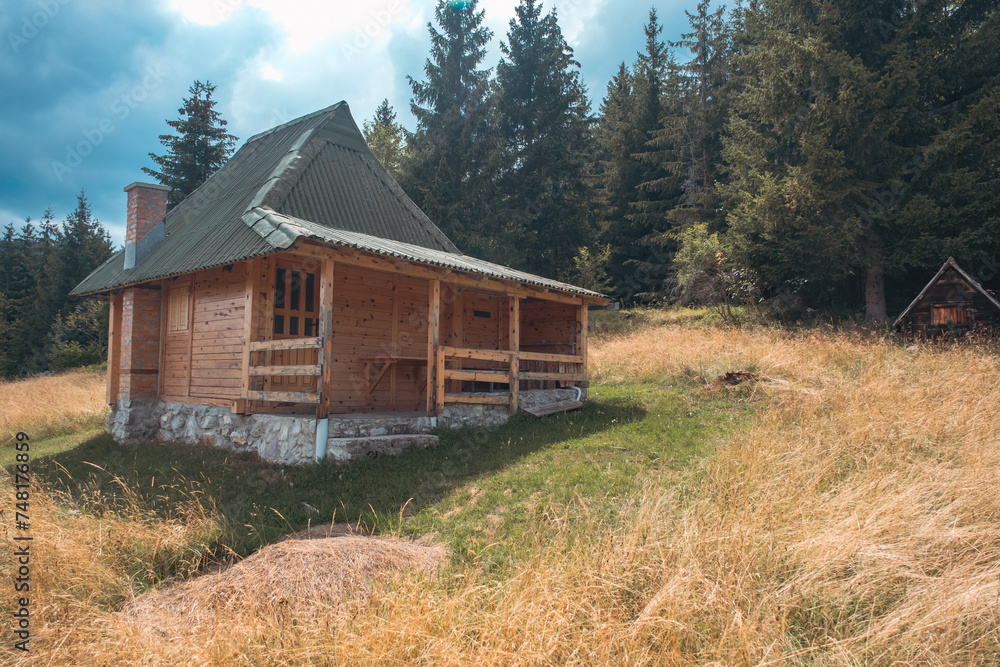 Obraz premium Wooden cottage in middle of the forest, mountain Tara, Serbia