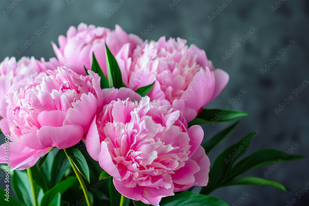 Pink Peonies in Vase on Table Pink Peonies in Vase on Table