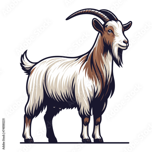 Goat full body vector illustration, farm pet, animal livestock, for butchery meat shop and dairy milk product, design template isolated on white background