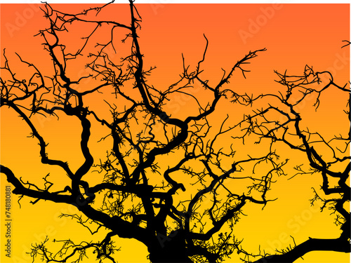 ramas, arboles, siluetas, vegetacion, roble, bosque, paisaje, vector, hojas, abstracto, sauce, tronco, malesa, pegatina