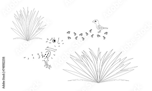 Pheasant family in a field  dot-to-dot