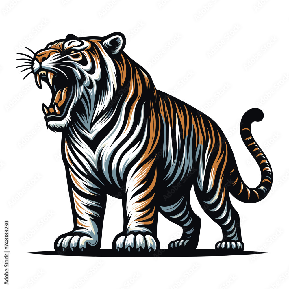 Wild roaring tiger full body vector illustration, zoology illustration, animal predator big cat design template isolated on white background