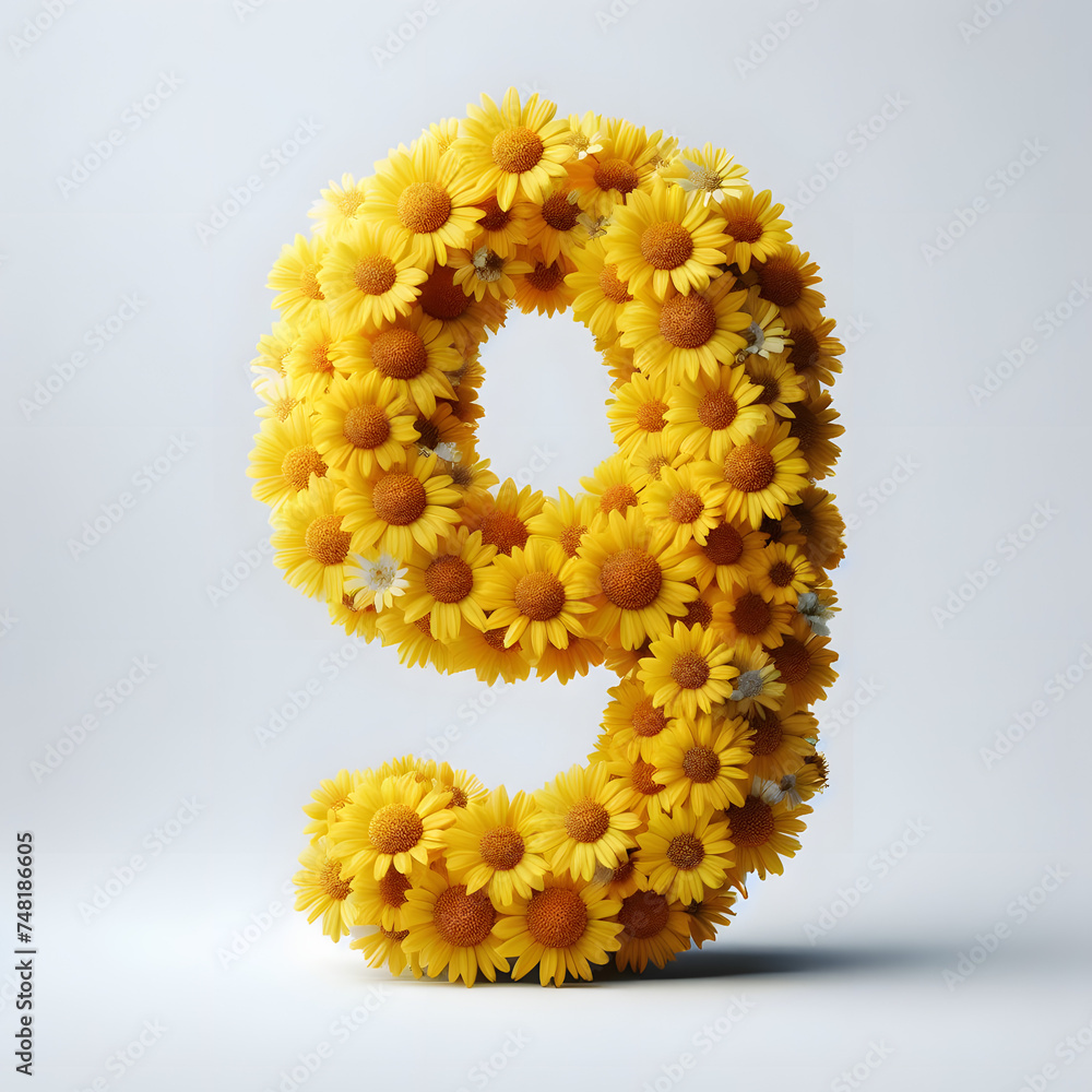 Number 9 is made of real natural Yellow flowers, Isolated on a white background, flower font concept, Creative Numbers Number 9 is made of real natural Yellow flowers, Isolated on a white background, flower font concept, Creative Numbers