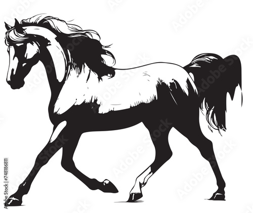 Vector black and white silhouette ready to print: Ellegant horse stallion side view, rodeo western horse