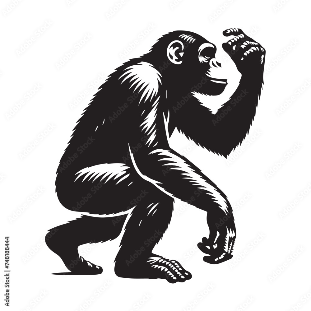 Fototapeta premium Elegant Chimpanzee Silhouettes, Chimpanzee Silhouette Series, Exploring Chimpanzee Forms-black and white illustration