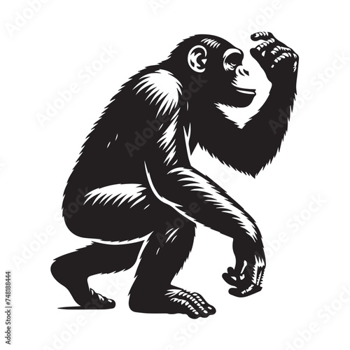 Elegant Chimpanzee Silhouettes, Chimpanzee Silhouette Series,  Exploring Chimpanzee Forms-black and white illustration