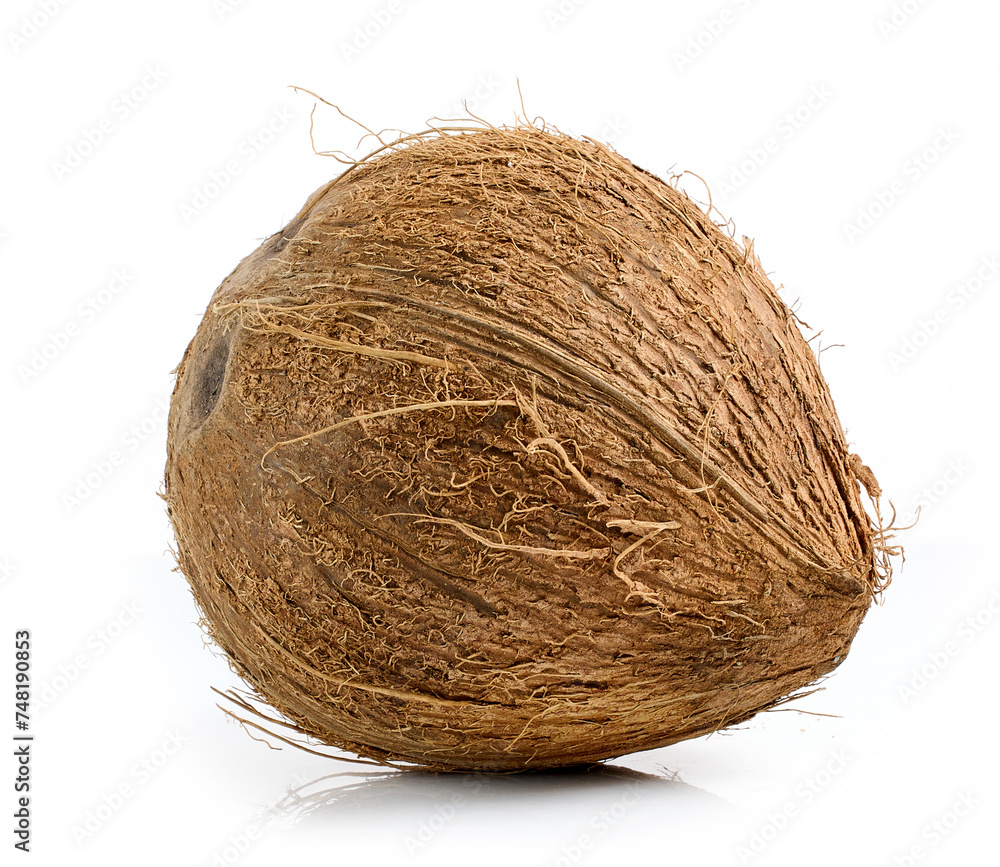 fresh ripe whole coconut fruit fresh ripe whole coconut fruit
