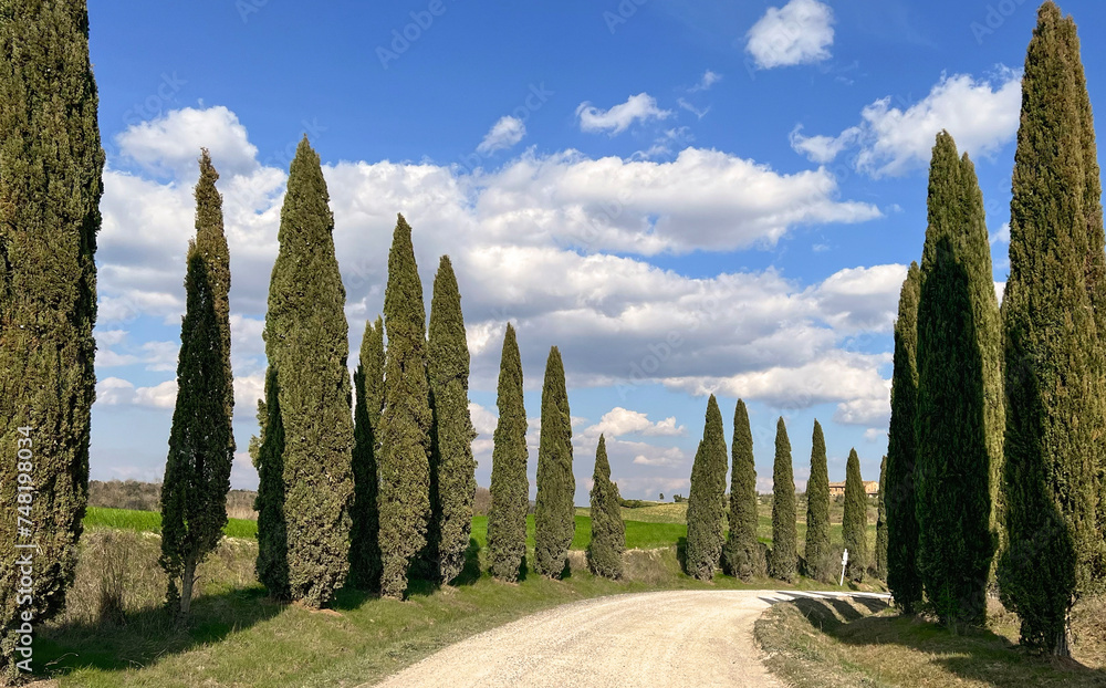 rural landscape in Tuscany