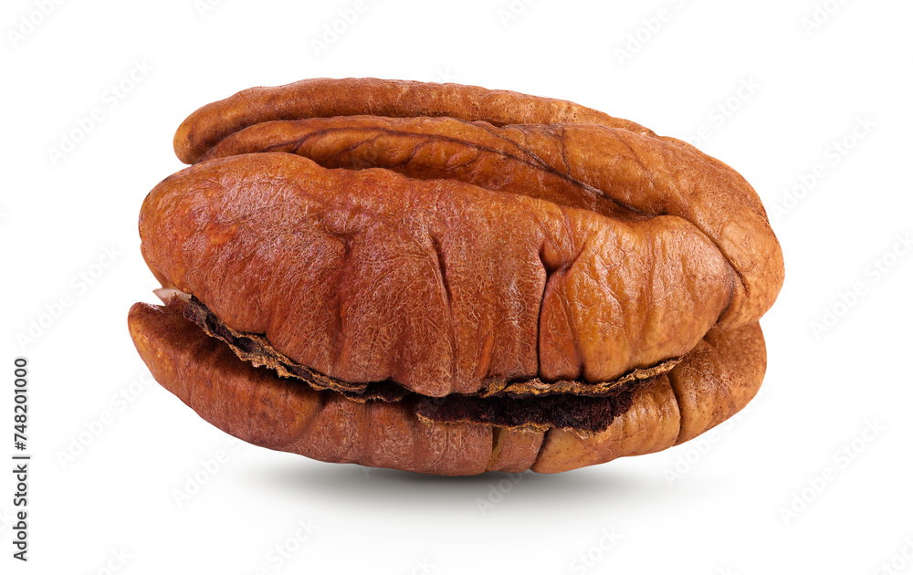 peeled pecan nut isolated on white background with full depth of field peeled pecan nut isolated on white background with full depth of field