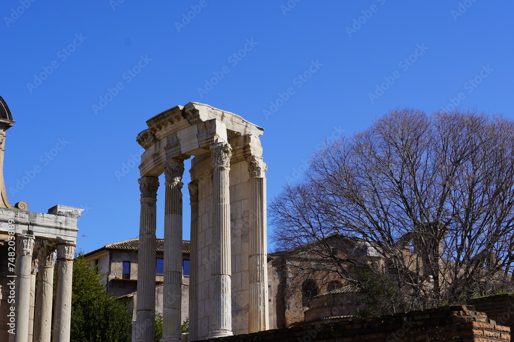 Ruins of the temple to Vesta in the Roman forum of Rome, Italy
