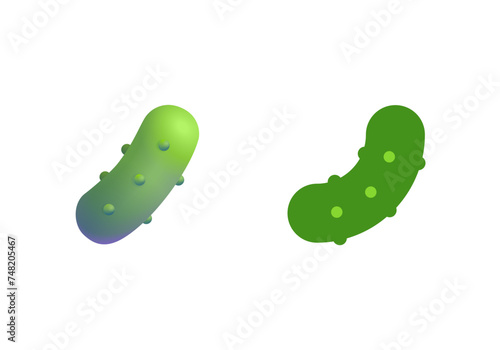 Cucumber