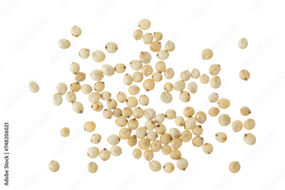 Sorghum seeds isolated on white background. Top view. Flat lay. Sorghum seeds isolated on white background. Top view. Flat lay.