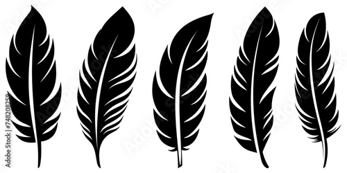 Black fluffy feather. Hand drawing vintage art realistic quill feathers for pen detailed isolated vector elegant silhouette sketch bird plume set