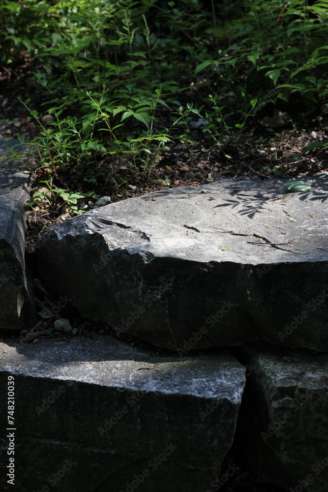 Fototapeta premium A decorative stone in the garden.