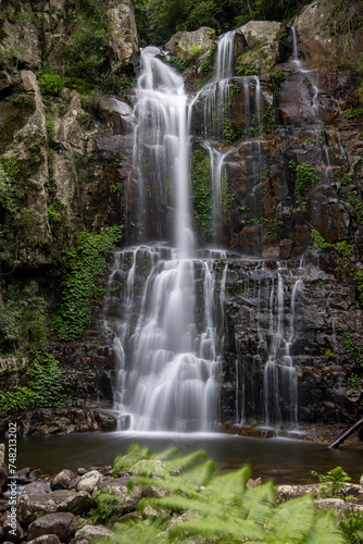 minnamurra falls 2 photo