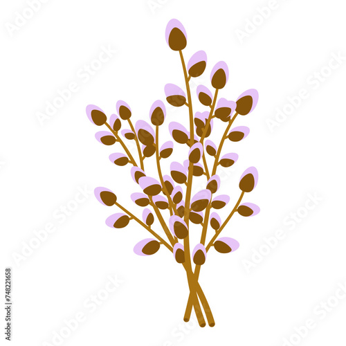 vector illustration of pussy willow branches isolated on white background, easter card