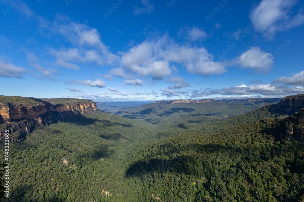 Fototapeta premium Blue Mountains