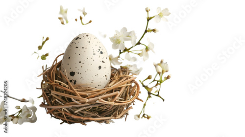 Birds Nest With Two Eggs, cut out Easter symbol