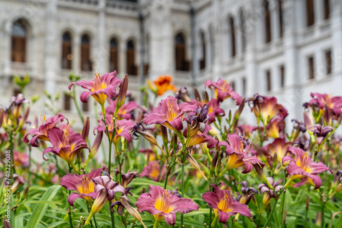 Hungarian Parliament building and flower garden in Budapest. Hungary.