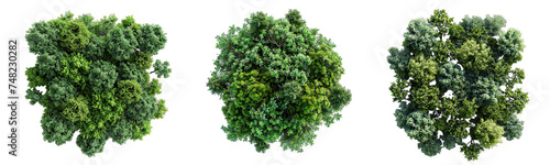 Top view of trees with foliage isolated on white or transparent background generative 