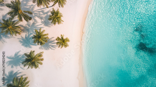 Aerial View of a Pristine Tropical Beach with Palm Trees and Turquoise Water