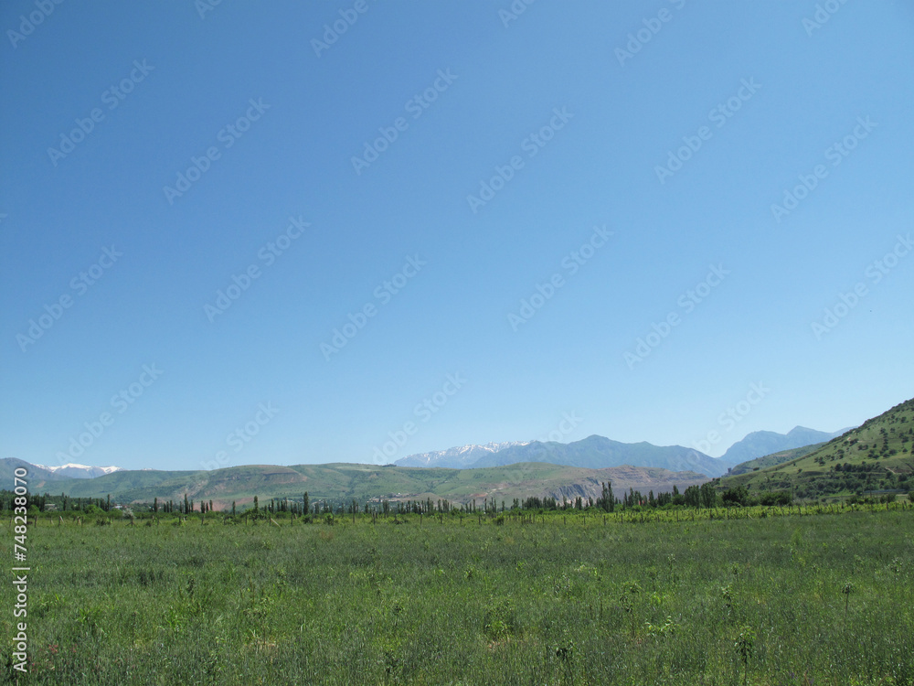 agricultural field near the mountains