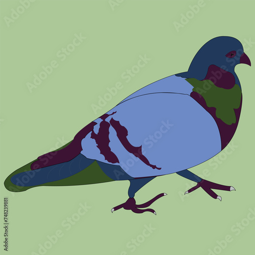 A beautiful, colorful bird. The dove is drawn as a side view, standing on two legs, with its wings tucked to its body.