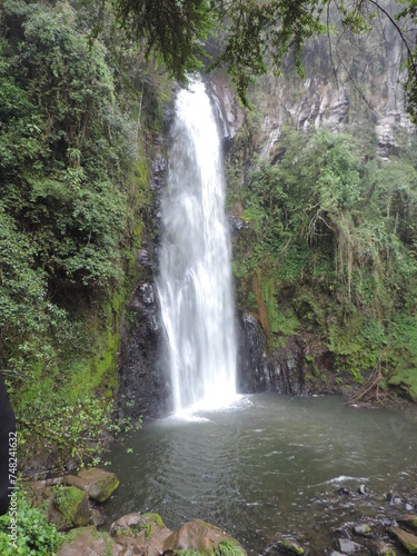 waterfall in the forest