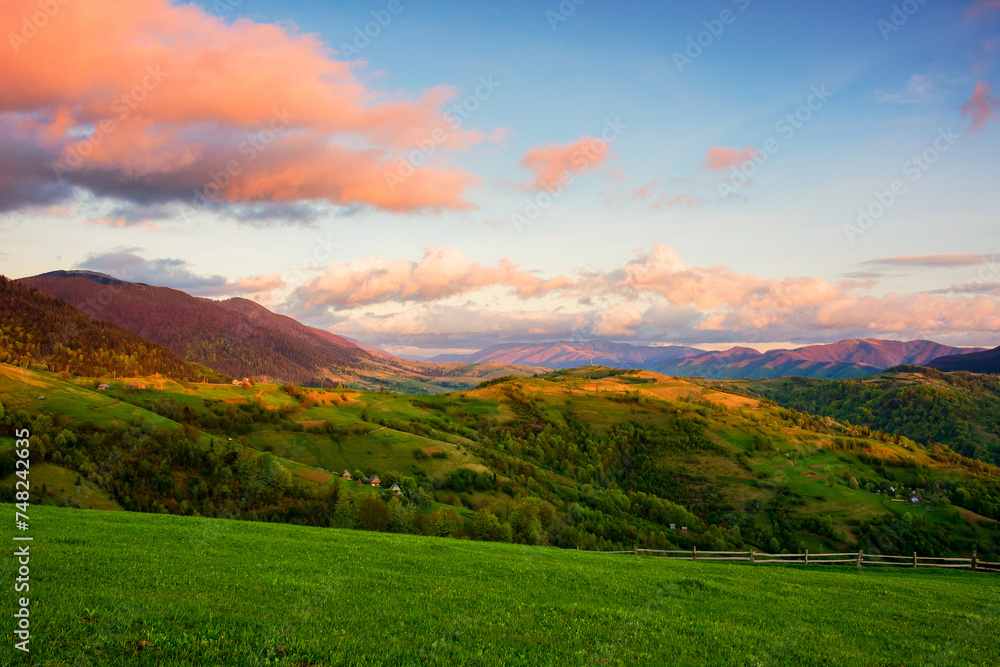 carpathian countryside scenery with grassy meadows and forested hills in evening light. mountainous rural landscape of transcarpathia, ukraine in spring