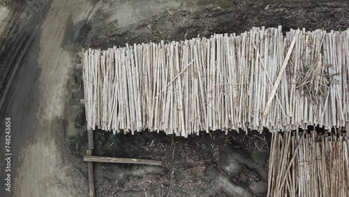 Visão aérea de toras de madeira eucaliptos para a produção de papel e celulose na cidade de suzano, são paulo, brasil photo