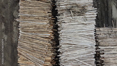 Quadro em tela Toras de madeiras de eucalipto para a produção de papel e celulose em uma indúst