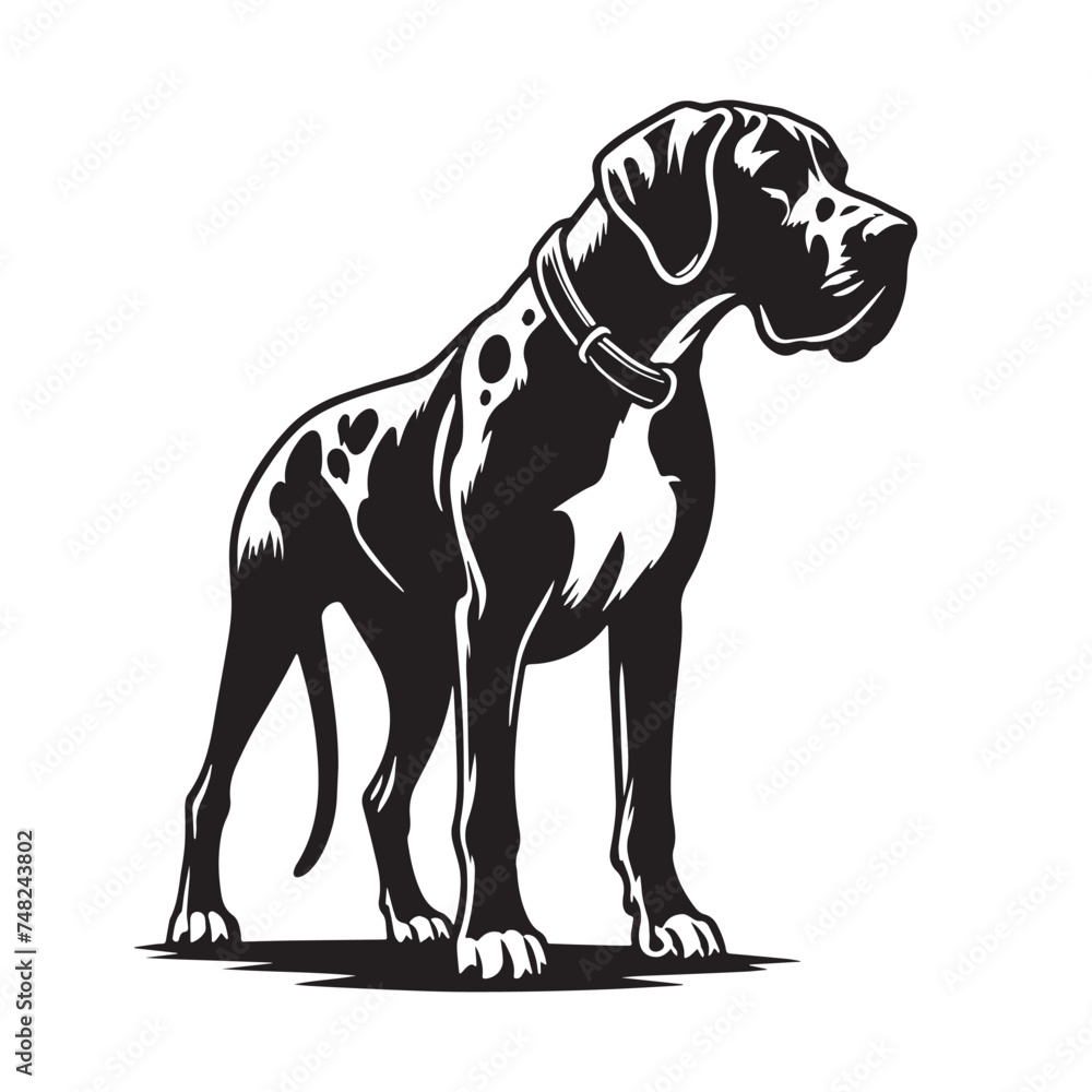 Vintage Retro Styled Vector Great Dane Silhouette Black and White - illustration