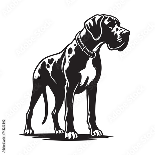 Vintage Retro Styled Vector Great Dane Silhouette Black and White - illustration photo