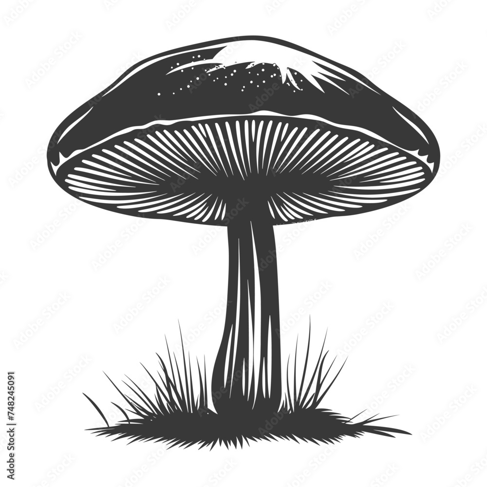 Silhouette mushroom black color only Silhouette mushroom black color only