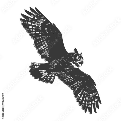 Silhouette owl bird animal fly black color only full body