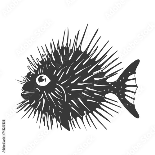 Silhouette pufferfish animal black color only full body