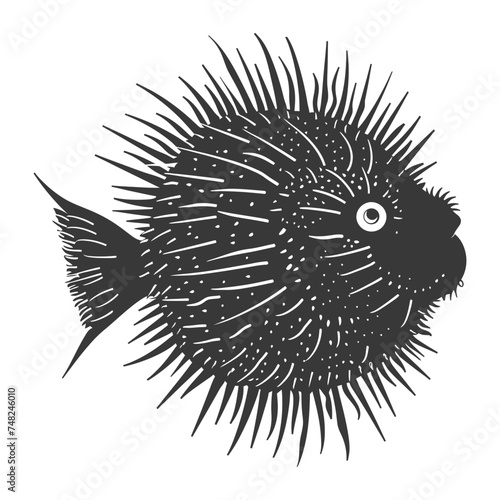 Silhouette pufferfish animal black color only full body