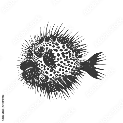 Silhouette pufferfish animal black color only full body