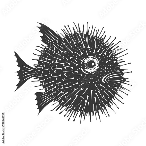 Silhouette pufferfish animal black color only full body