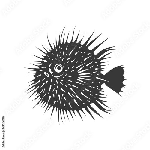 Silhouette pufferfish animal blow black color only full body